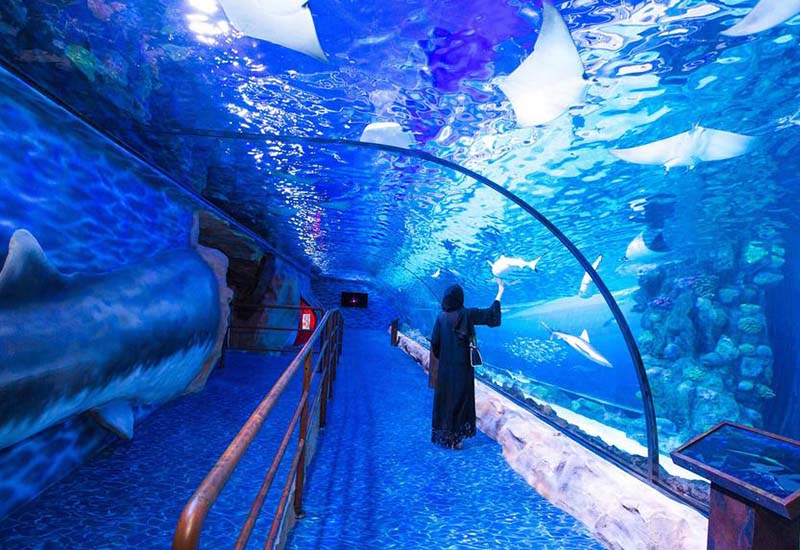 Aquarium (Dubai Mall) - Skyland Tourism France